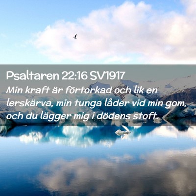Picture 02 - Psaltaren 22:16 SV1917 - Min kraft är förtorkad och lik en lerskärva, - Bible Verse Picture