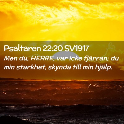 Picture 02 - Psaltaren 22:20 SV1917 - Men du, HERRE, var icke fjärran; du min - Bible Verse Picture
