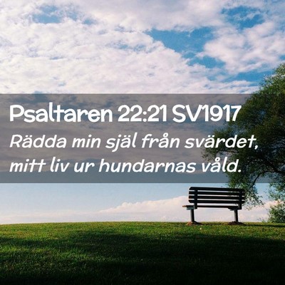 Picture 02 - Psaltaren 22:21 SV1917 - Rädda min själ från svärdet, mitt liv ur - Bible Verse Picture