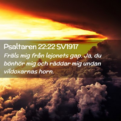 Picture 02 - Psaltaren 22:22 SV1917 - Fräls mig från lejonets gap. Ja, du bönhör - Bible Verse Picture