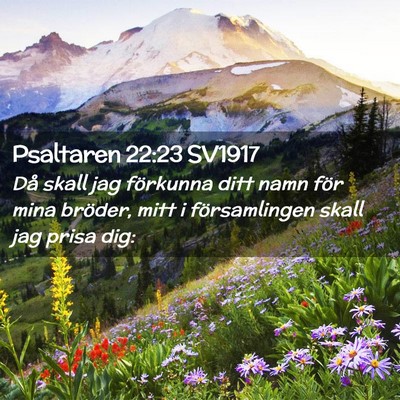 Picture 02 - Psaltaren 22:23 SV1917 - Då skall jag förkunna ditt namn för mina - Bible Verse Picture
