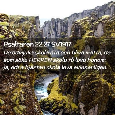 Picture 02 - Psaltaren 22:27 SV1917 - De ödmjuka skola äta och bliva mätta, de som - Bible Verse Picture