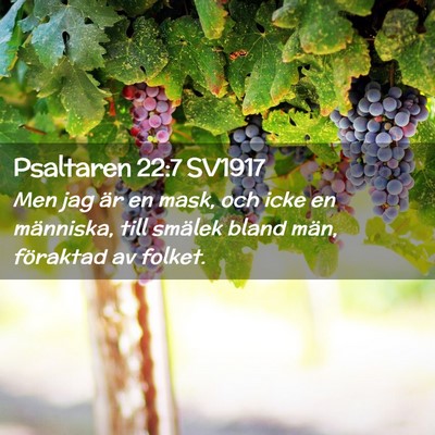 Picture 02 - Psaltaren 22:7 SV1917 - Men jag är en mask, och icke en människa, till - Bible Verse Picture