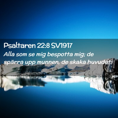 Picture 02 - Psaltaren 22:8 SV1917 - Alla som se mig bespotta mig; de spärra upp - Bible Verse Picture