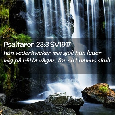 Picture 02 - Psaltaren 23:3 SV1917 - han vederkvicker min själ; han leder mig på - Bible Verse Picture