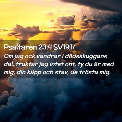 Picture 02 - Psaltaren 23:4 SV1917 - Om jag ock vandrar i dödsskuggans dal, fruktar - Bible Verse Picture