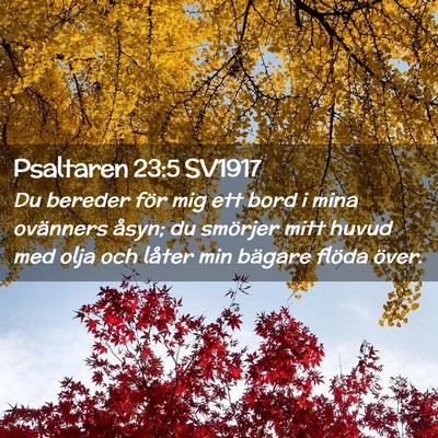 Picture 02 - Psaltaren 23:5 SV1917 - Du bereder för mig ett bord i mina ovänners - Bible Verse Picture