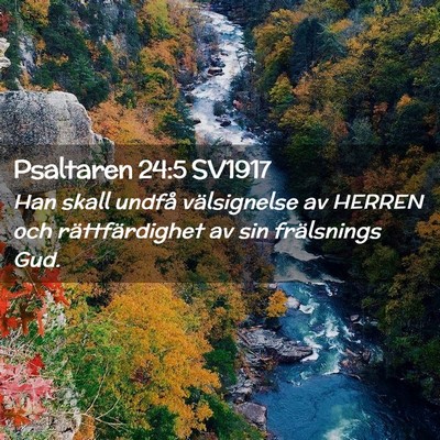 Picture 02 - Psaltaren 24:5 SV1917 - Han skall undfå välsignelse av HERREN och - Bible Verse Picture