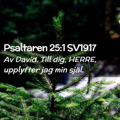 Picture 02 - Psaltaren 25:1 SV1917 - Av David. Till dig, HERRE, upplyfter jag min - Bible Verse Picture