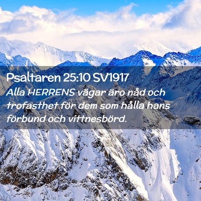 Picture 02 - Psaltaren 25:10 SV1917 - Alla HERRENS vägar äro nåd och trofasthet för - Bible Verse Picture