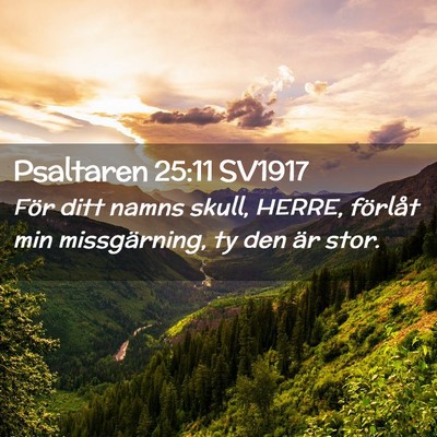 Picture 02 - Psaltaren 25:11 SV1917 - För ditt namns skull, HERRE, förlåt min - Bible Verse Picture