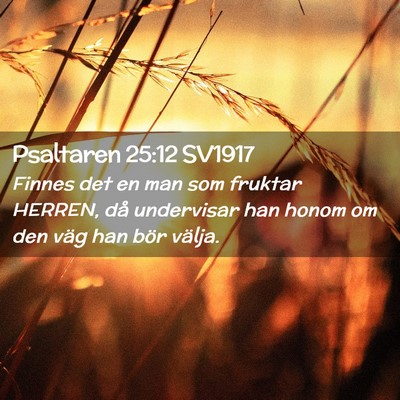 Picture 02 - Psaltaren 25:12 SV1917 - Finnes det en man som fruktar HERREN, då - Bible Verse Picture