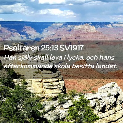 Picture 02 - Psaltaren 25:13 SV1917 - Han själv skall leva i lycka, och hans - Bible Verse Picture