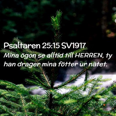 Picture 02 - Psaltaren 25:15 SV1917 - Mina ögon se alltid till HERREN, ty han drager - Bible Verse Picture