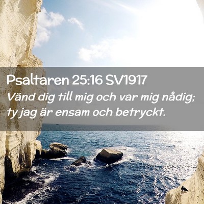 Picture 02 - Psaltaren 25:16 SV1917 - Vänd dig till mig och var mig nådig; ty jag är - Bible Verse Picture