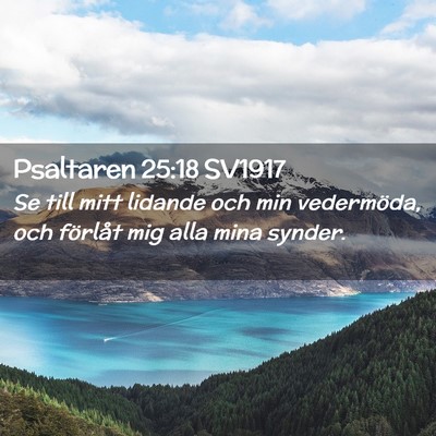 Picture 02 - Psaltaren 25:18 SV1917 - Se till mitt lidande och min vedermöda, och - Bible Verse Picture