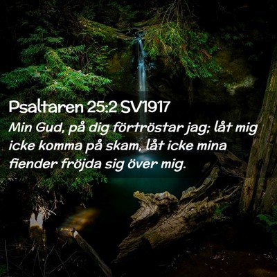 Picture 02 - Psaltaren 25:2 SV1917 - Min Gud, på dig förtröstar jag; låt mig icke - Bible Verse Picture