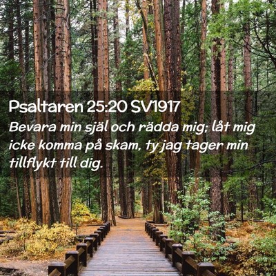 Picture 02 - Psaltaren 25:20 SV1917 - Bevara min själ och rädda mig; låt mig icke - Bible Verse Picture