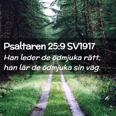 Picture 02 - Psaltaren 25:9 SV1917 - Han leder de ödmjuka rätt, han lär de ödmjuka - Bible Verse Picture