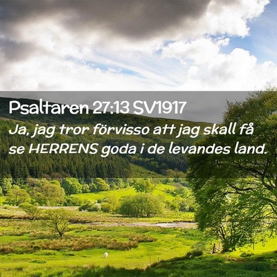 Picture 02 - Psaltaren 27:13 SV1917 - Ja, jag tror förvisso att jag skall få se - Bible Verse Picture