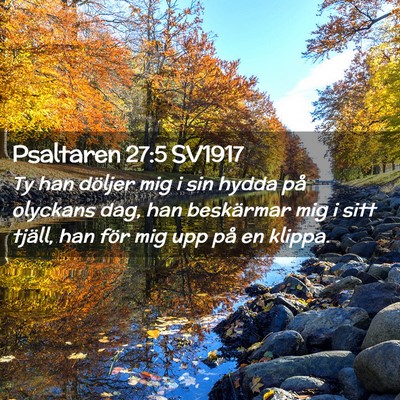 Picture 02 - Psaltaren 27:5 SV1917 - Ty han döljer mig i sin hydda på olyckans dag, - Bible Verse Picture