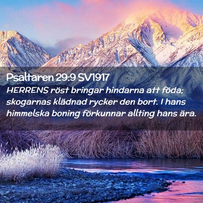 Picture 02 - Psaltaren 29:9 SV1917 - HERRENS röst bringar hindarna att föda; - Bible Verse Picture