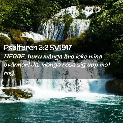 Picture 02 - Psaltaren 3:2 SV1917 - HERRE, huru många äro icke mina ovänner! Ja, - Bible Verse Picture