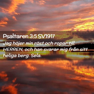 Picture 02 - Psaltaren 3:5 SV1917 - Jag höjer min röst och ropar till HERREN, och - Bible Verse Picture