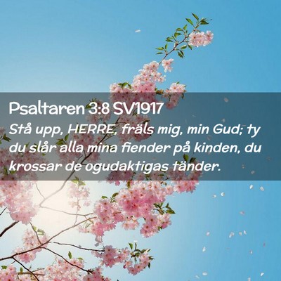 Picture 02 - Psaltaren 3:8 SV1917 - Stå upp, HERRE, fräls mig, min Gud; ty du slår - Bible Verse Picture