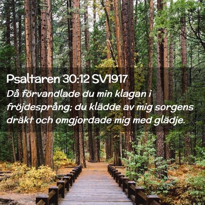 Picture 02 - Psaltaren 30:12 SV1917 - Då förvandlade du min klagan i fröjdesprång; - Bible Verse Picture