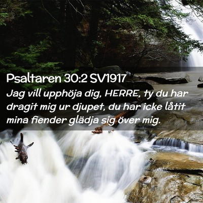 Picture 02 - Psaltaren 30:2 SV1917 - Jag vill upphöja dig, HERRE, ty du har dragit - Bible Verse Picture