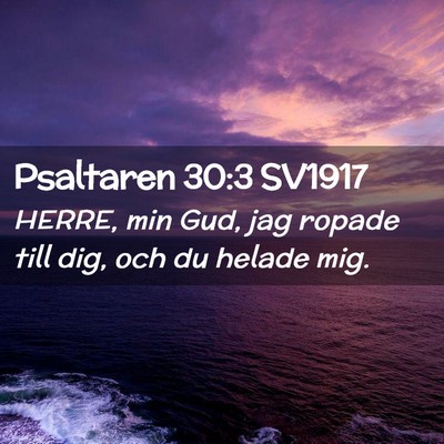 Picture 02 - Psaltaren 30:3 SV1917 - HERRE, min Gud, jag ropade till dig, och du - Bible Verse Picture