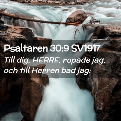Picture 02 - Psaltaren 30:9 SV1917 - Till dig, HERRE, ropade jag, och till Herren bad - Bible Verse Picture