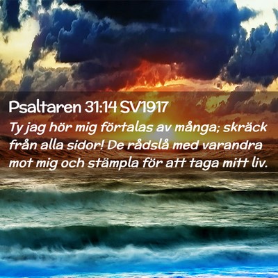 Picture 02 - Psaltaren 31:14 SV1917 - Ty jag hör mig förtalas av många; skräck - Bible Verse Picture