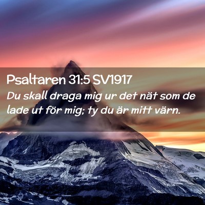 Picture 02 - Psaltaren 31:5 SV1917 - Du skall draga mig ur det nät som de lade ut - Bible Verse Picture
