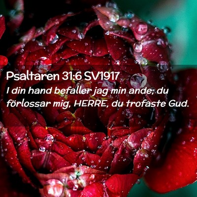 Picture 02 - Psaltaren 31:6 SV1917 - I din hand befaller jag min ande; du förlossar - Bible Verse Picture
