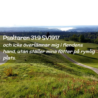 Picture 02 - Psaltaren 31:9 SV1917 - och icke överlämnar mig i fiendens hand, utan - Bible Verse Picture