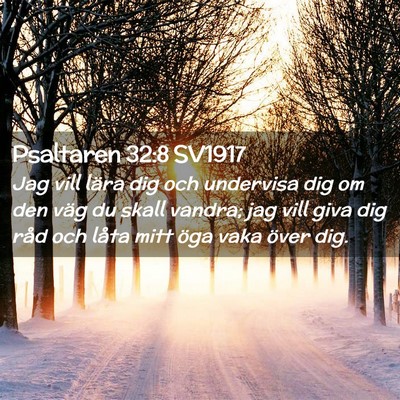 Picture 02 - Psaltaren 32:8 SV1917 - Jag vill lära dig och undervisa dig om den väg - Bible Verse Picture