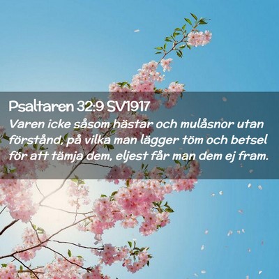 Picture 02 - Psaltaren 32:9 SV1917 - Varen icke såsom hästar och mulåsnor utan - Bible Verse Picture