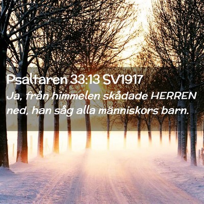Picture 02 - Psaltaren 33:13 SV1917 - Ja, från himmelen skådade HERREN ned, han såg - Bible Verse Picture