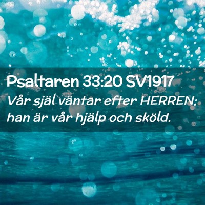 Picture 02 - Psaltaren 33:20 SV1917 - Vår själ väntar efter HERREN; han är vår - Bible Verse Picture