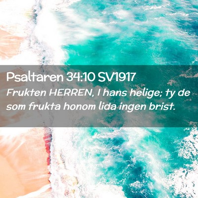 Picture 02 - Psaltaren 34:10 SV1917 - Frukten HERREN, I hans helige; ty de som frukta - Bible Verse Picture