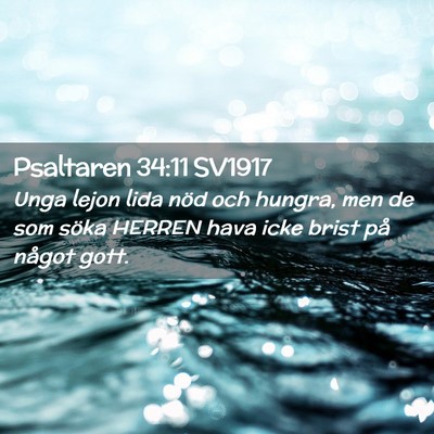Picture 02 - Psaltaren 34:11 SV1917 - Unga lejon lida nöd och hungra, men de som söka - Bible Verse Picture