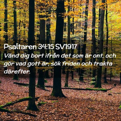 Picture 02 - Psaltaren 34:15 SV1917 - Vänd dig bort ifrån det som är ont, och gör - Bible Verse Picture