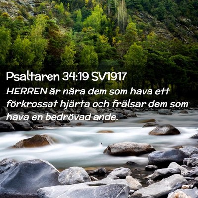 Picture 02 - Psaltaren 34:19 SV1917 - HERREN är nära dem som hava ett förkrossat - Bible Verse Picture