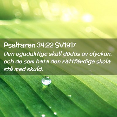 Picture 02 - Psaltaren 34:22 SV1917 - Den ogudaktige skall dödas av olyckan, och de - Bible Verse Picture