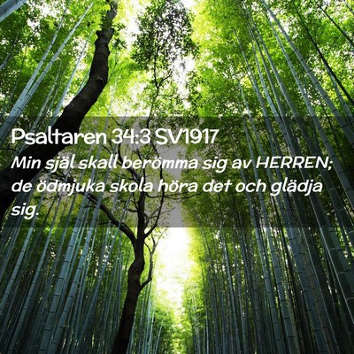Picture 02 - Psaltaren 34:3 SV1917 - Min själ skall berömma sig av HERREN; de - Bible Verse Picture