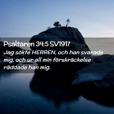 Picture 02 - Psaltaren 34:5 SV1917 - Jag sökte HERREN, och han svarade mig, och ur - Bible Verse Picture