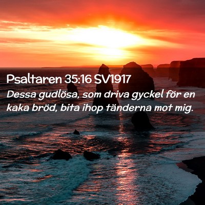 Picture 02 - Psaltaren 35:16 SV1917 - Dessa gudlösa, som driva gyckel för en kaka - Bible Verse Picture