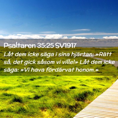 Picture 02 - Psaltaren 35:25 SV1917 - Låt dem icke säga i sina hjärtan: »Rätt så, - Bible Verse Picture